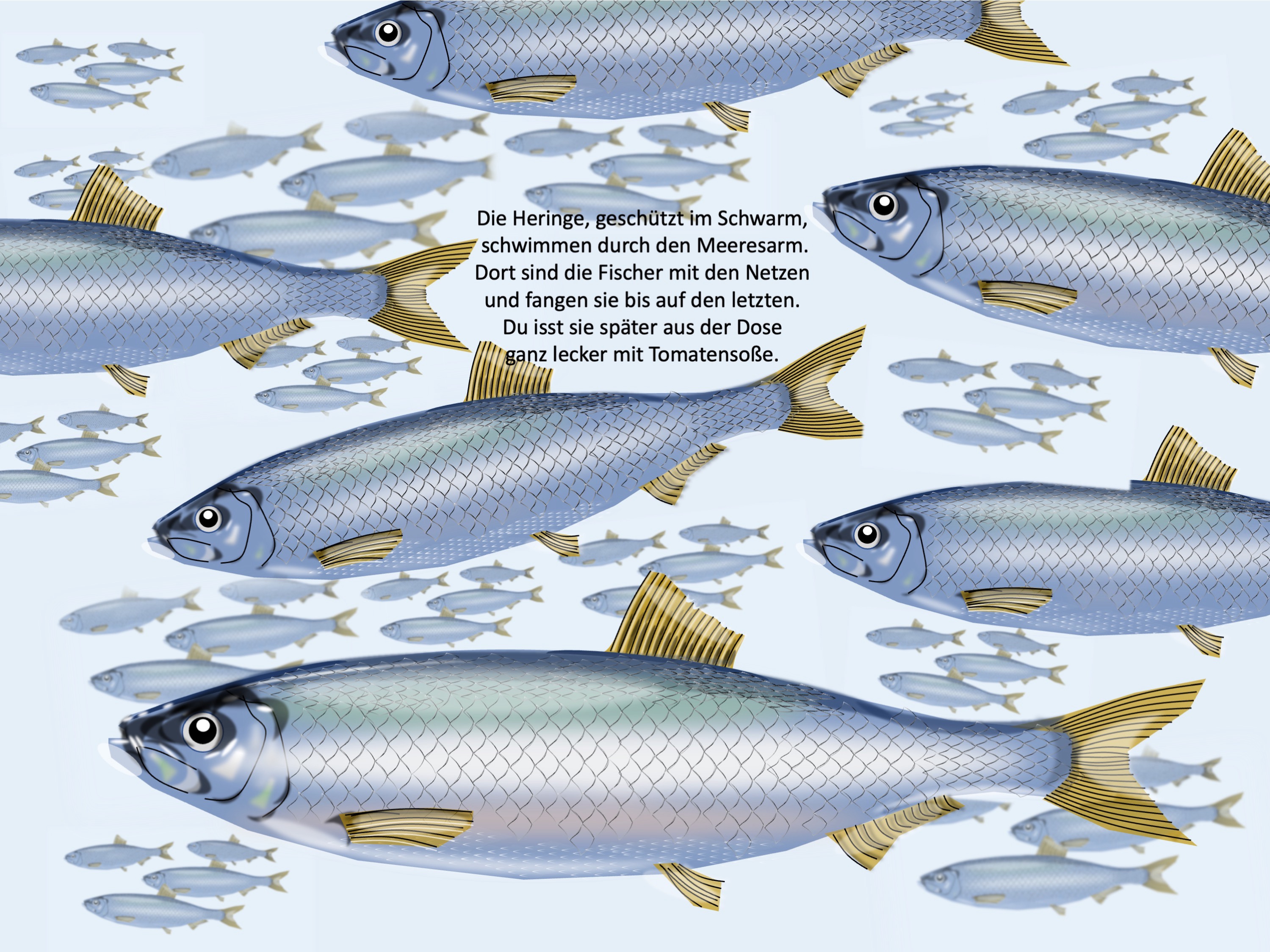 Hering (painted with PowerPoint; 2022-04-17)