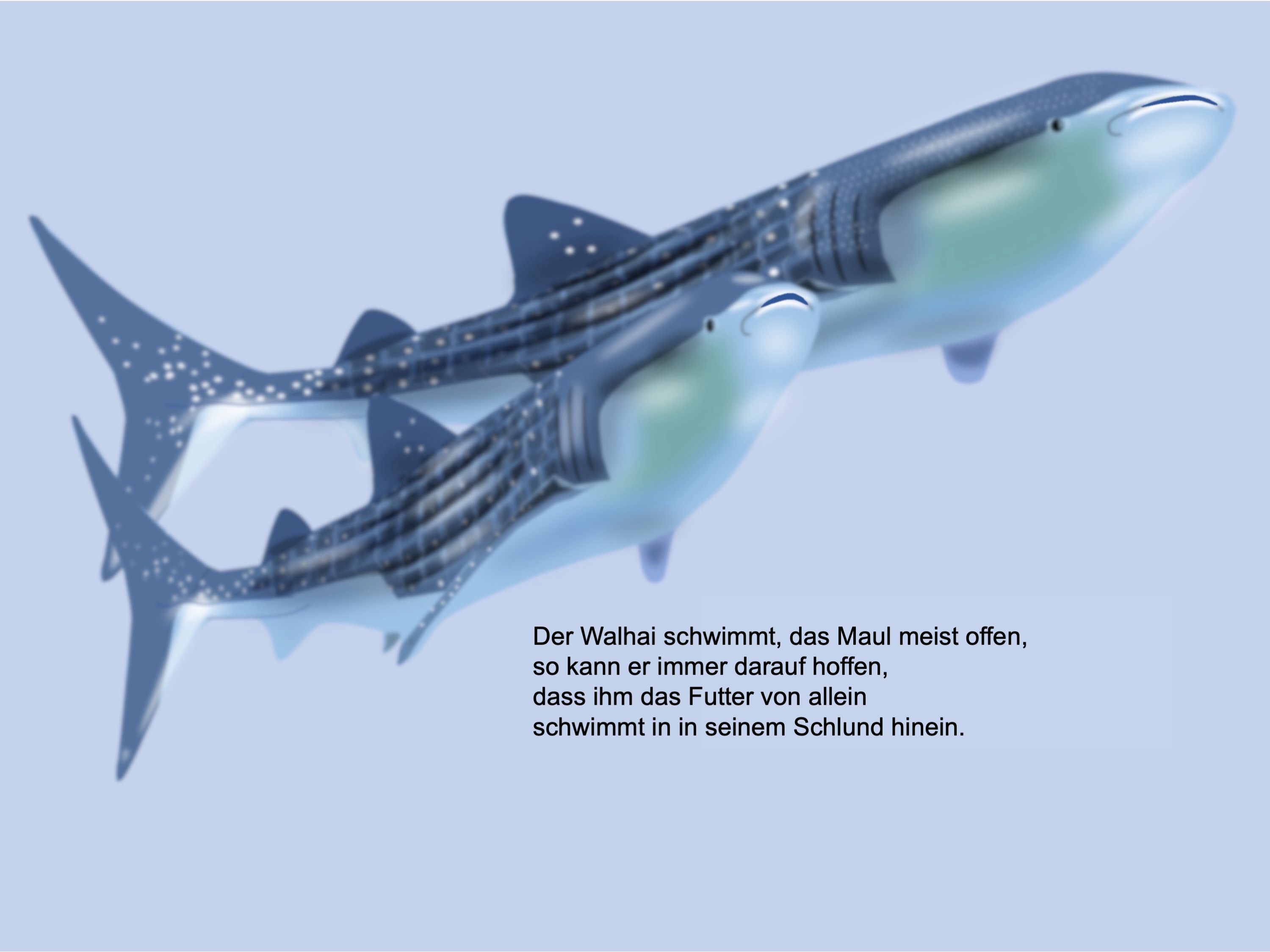 Whale sharks (painted with PowerPoint; 2022-04-18)