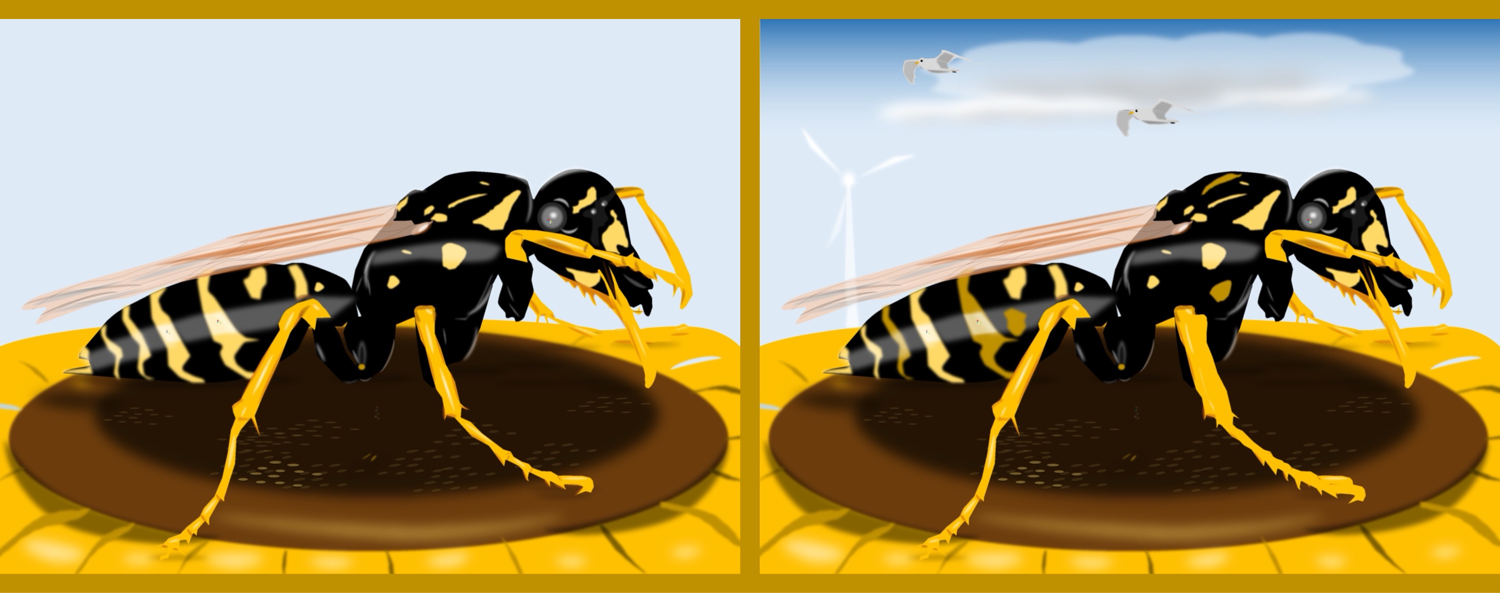 Wespe/wasp - Finde 10 Änderungen im rechten Bild. / Find 10 changes in the right picture.
