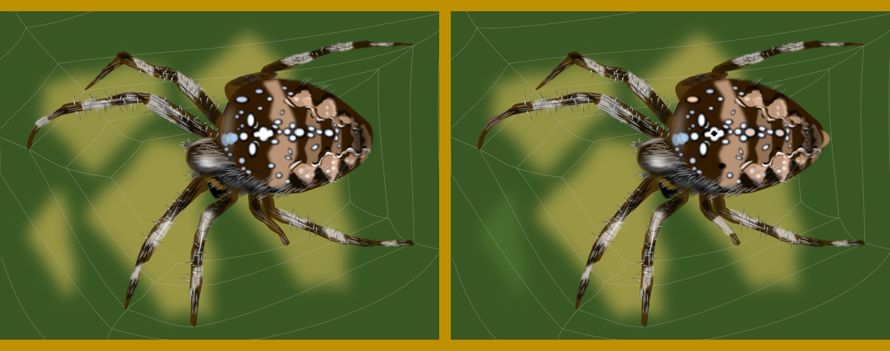 Spinne/spider - Finde 10 Änderungen im rechten Bild. (anspruchsvoll) / Find 10 changes in the right picture. (challenging)