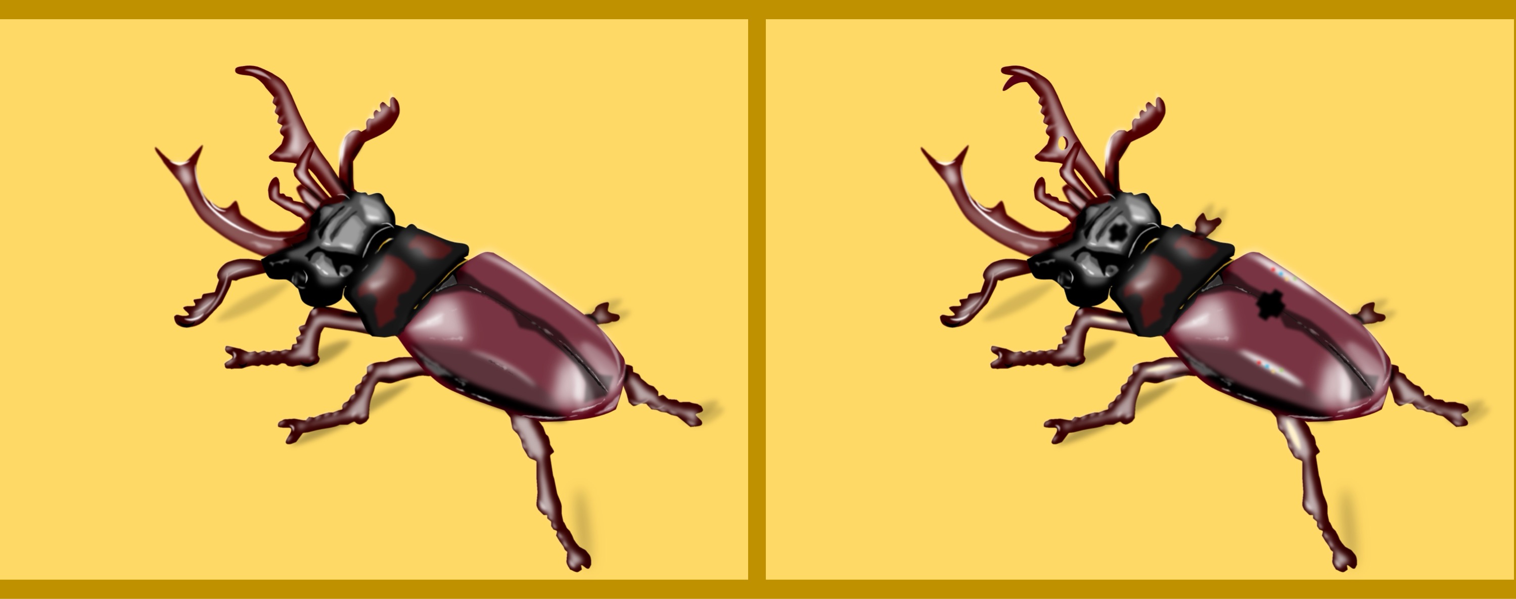 Hirschhornkäfer/stag beetle - Finde 10 Änderungen im rechten Bild. (anspruchsvoll) / Find 10 changes in the right picture. (challenging)