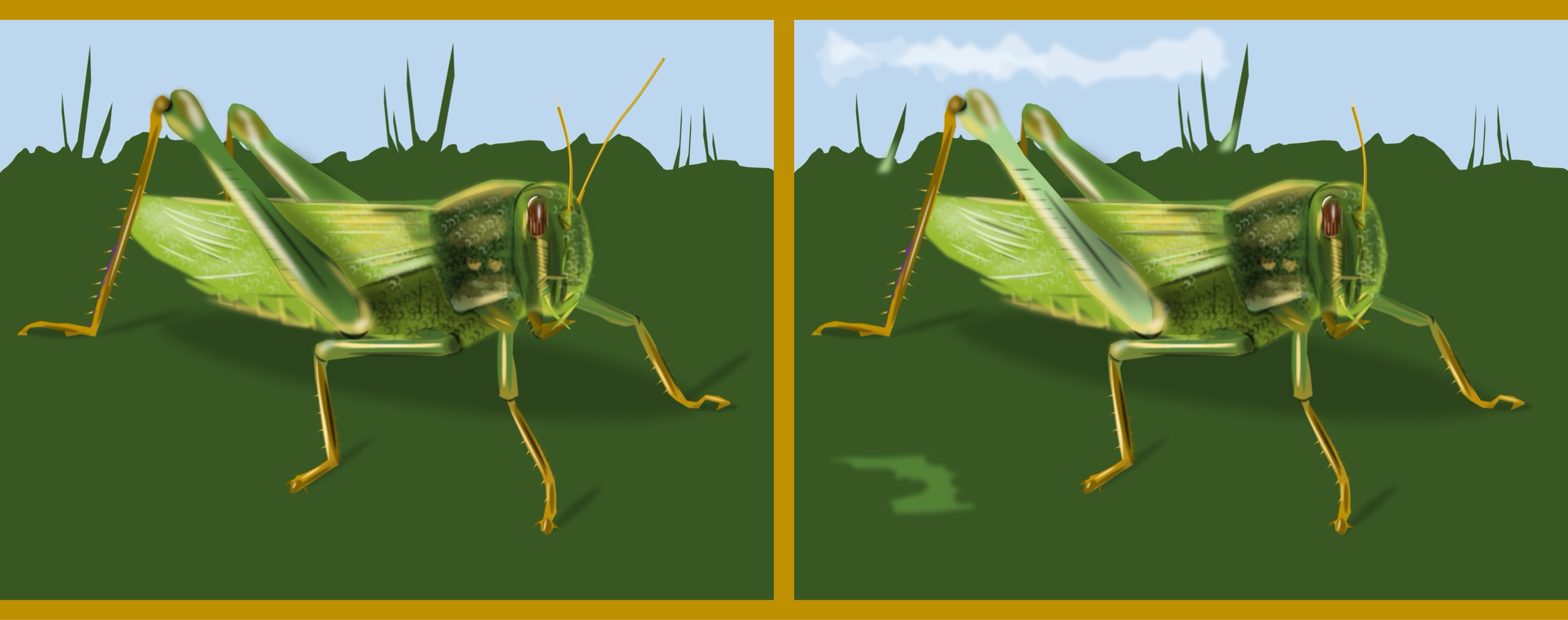 Grashüpfer/grasshopper - Finde 10 Änderungen im rechten Bild. / Find 10 changes in the right picture.
