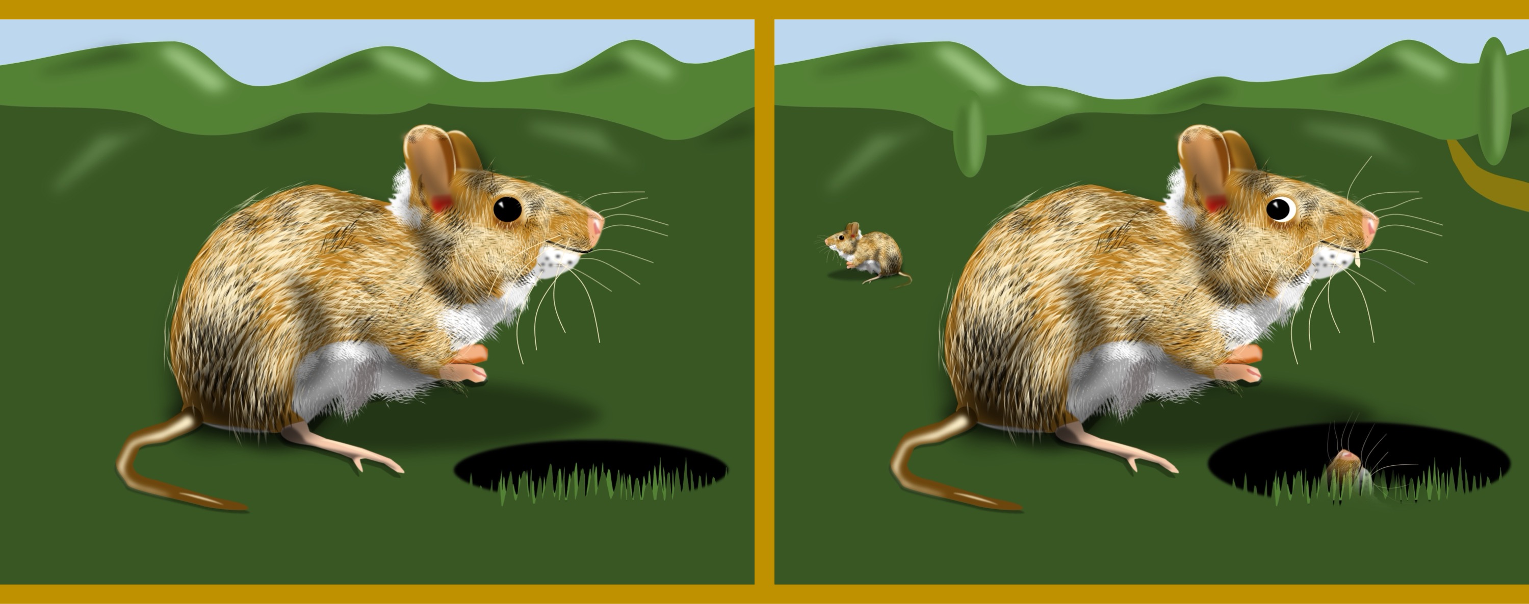 Maus/mouse - Finde 10 Änderungen im rechten Bild. (teilweise anspruchsvoll) / Find 10 changes in the right picture. (partly challenging)