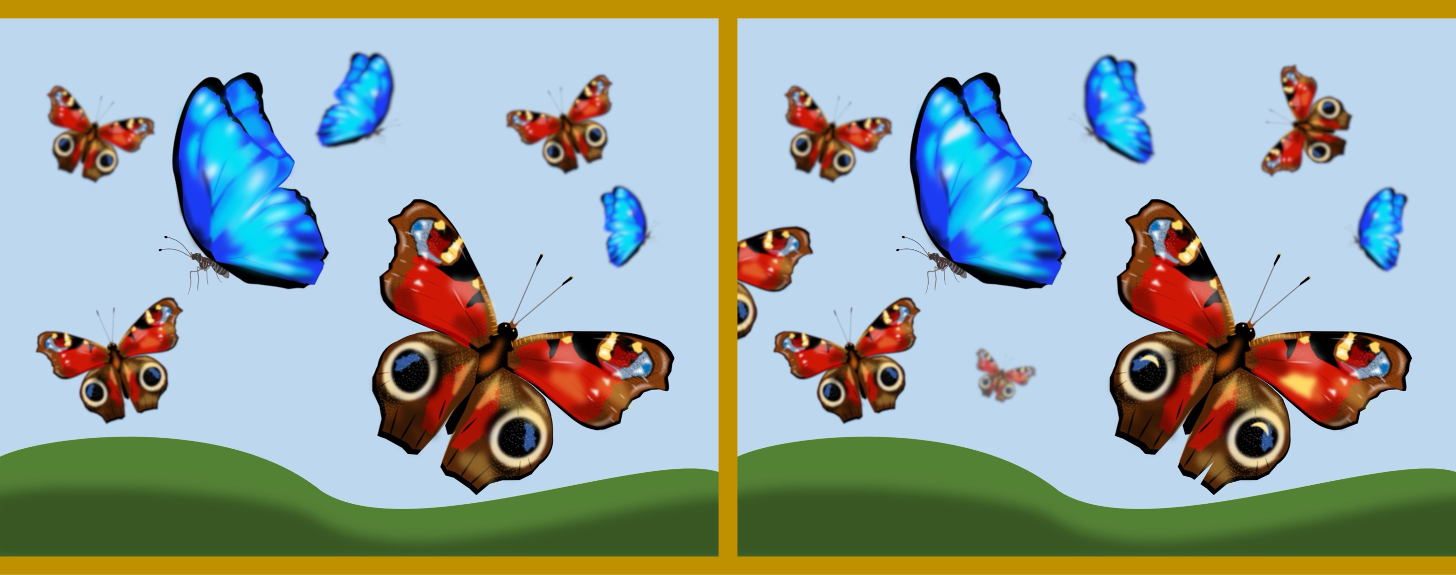 Schmetterlinge/butterflies - Finde 10 Änderungen im rechten Bild. / Find 10 changes in the right picture.