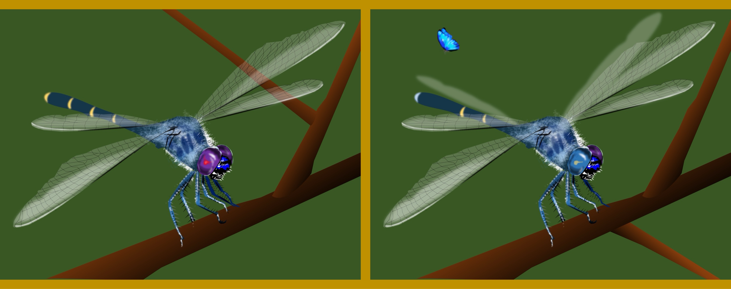 Libelle/dragonfly - Finde 10 Änderungen im rechten Bild. / Find 10 changes in the right picture.