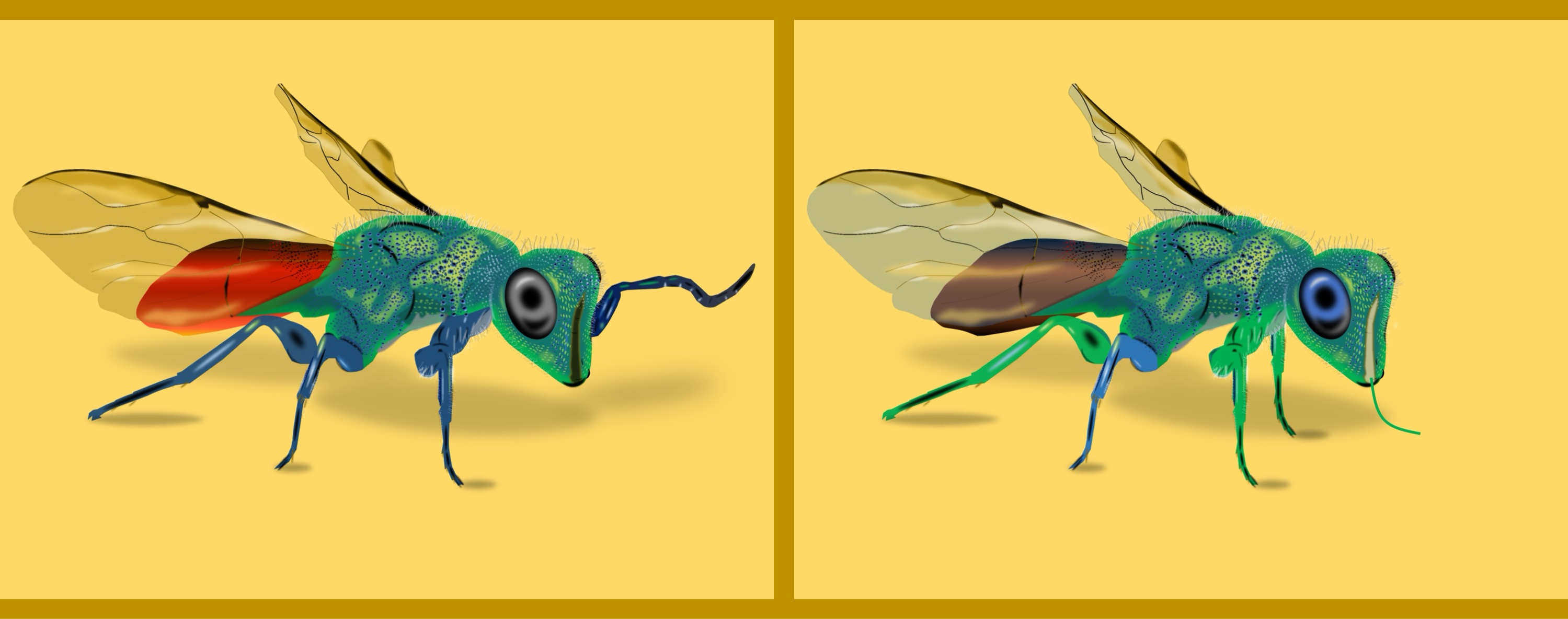 grünes Insekt/green insect - Finde 10 Änderungen im rechten Bild. / Find 10 changes in the right picture.