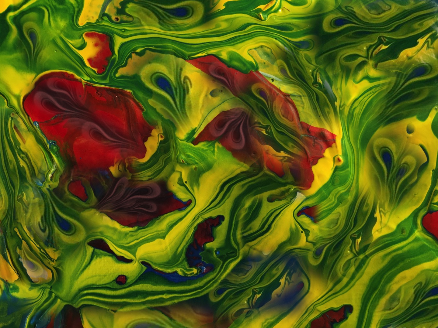 maybe flowers (acryl, 2021-10)